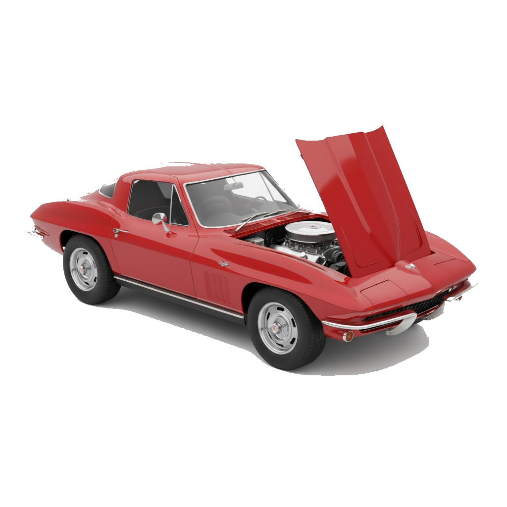 Auto detailing service